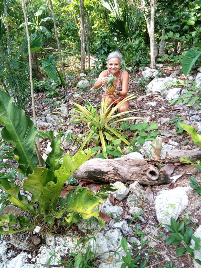 Ecolodge Uh May Francisco Uh May Eksteriør billede