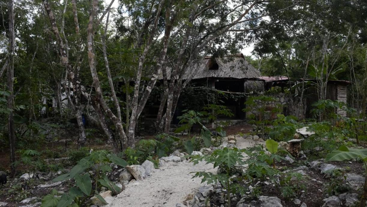 Ecolodge Uh May Francisco Uh May Eksteriør billede